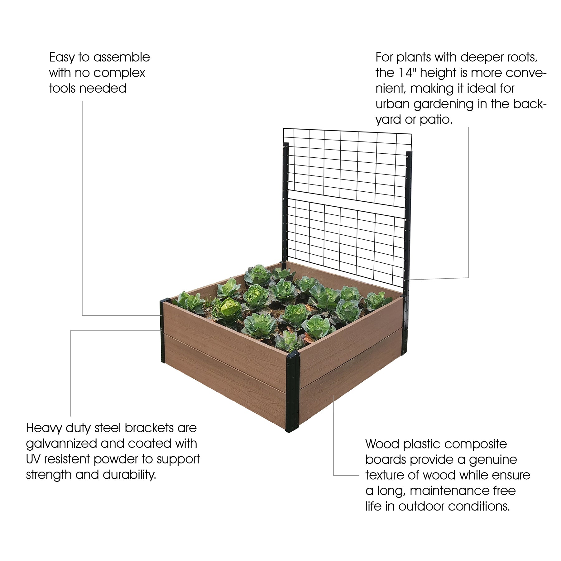 K2132 R143638+T333615K2