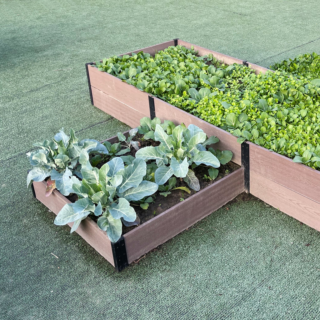 K2203 R073638+R143638+R0714E36