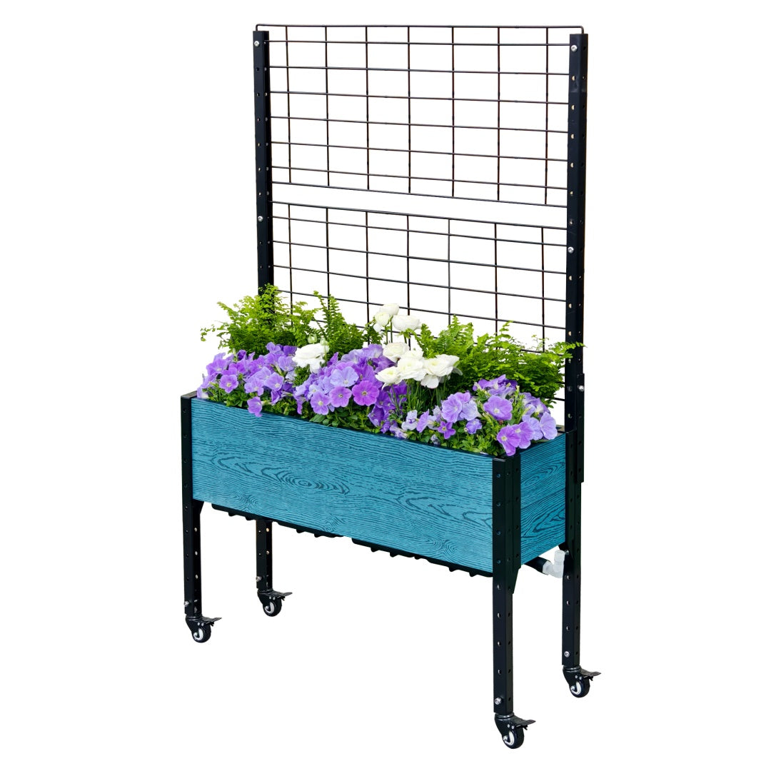 K2460 S213612W+T333615K2